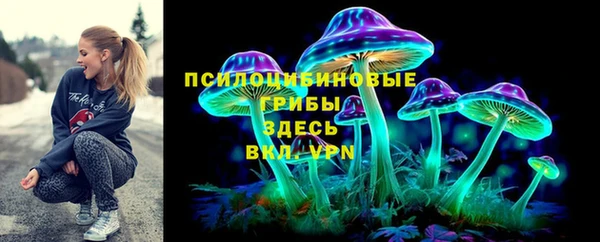 крисы Красноперекопск
