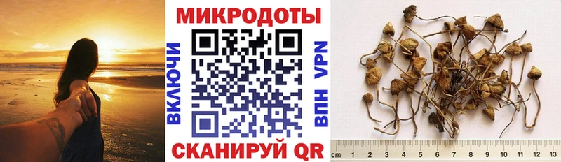 Галлюциногенные грибы мицелий  Называевск 